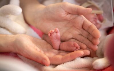 Acolhimento e contenção: princípios da posição ideal para prematuros