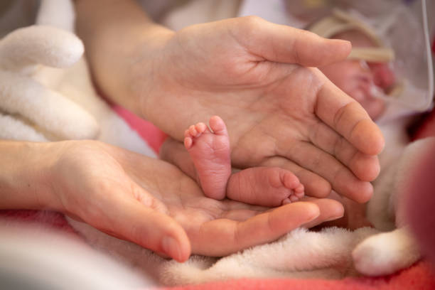 Acolhimento e contenção: princípios da posição ideal para prematuros